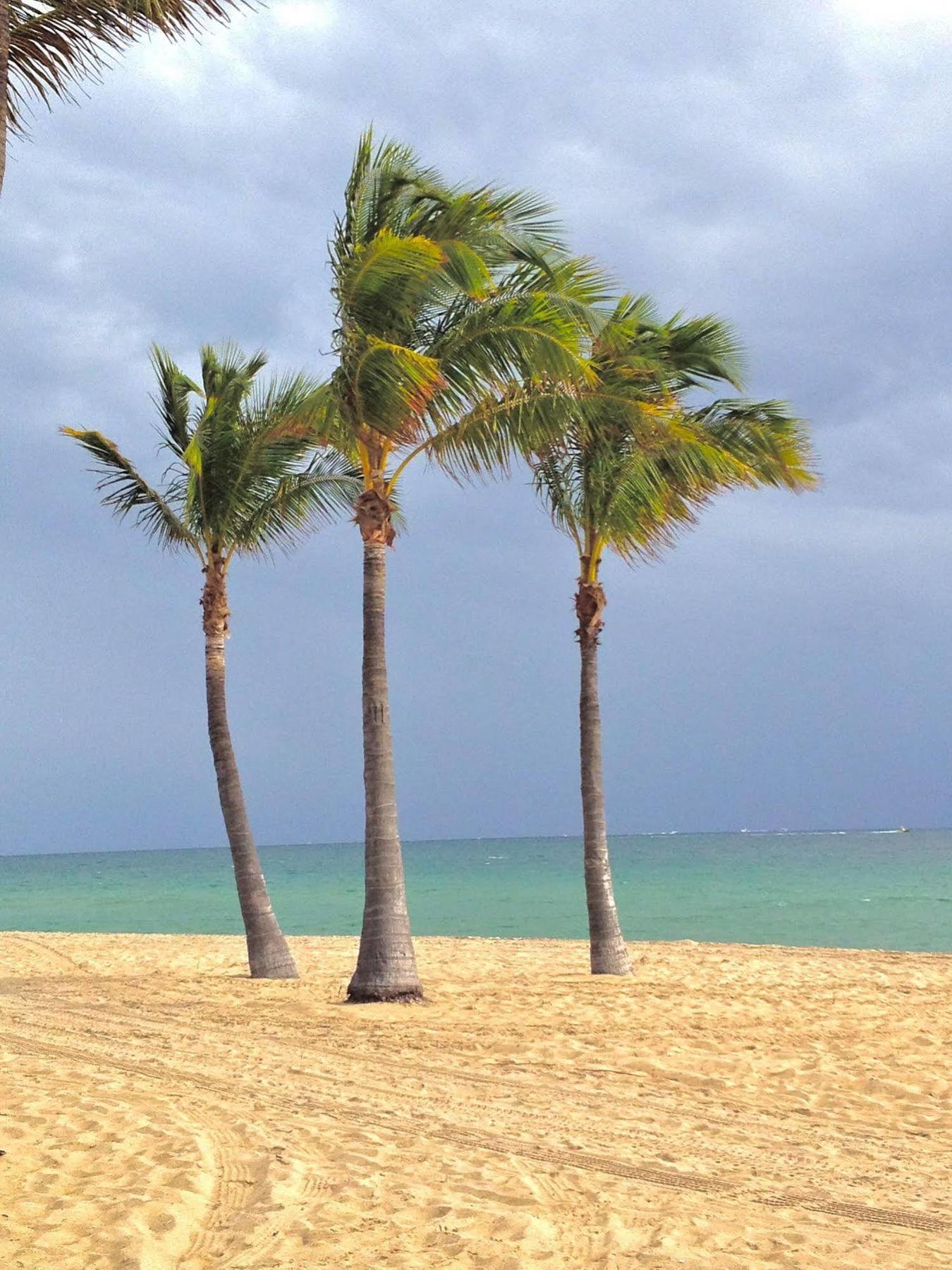 Fortuna Fort Lauderdale Extérieur photo